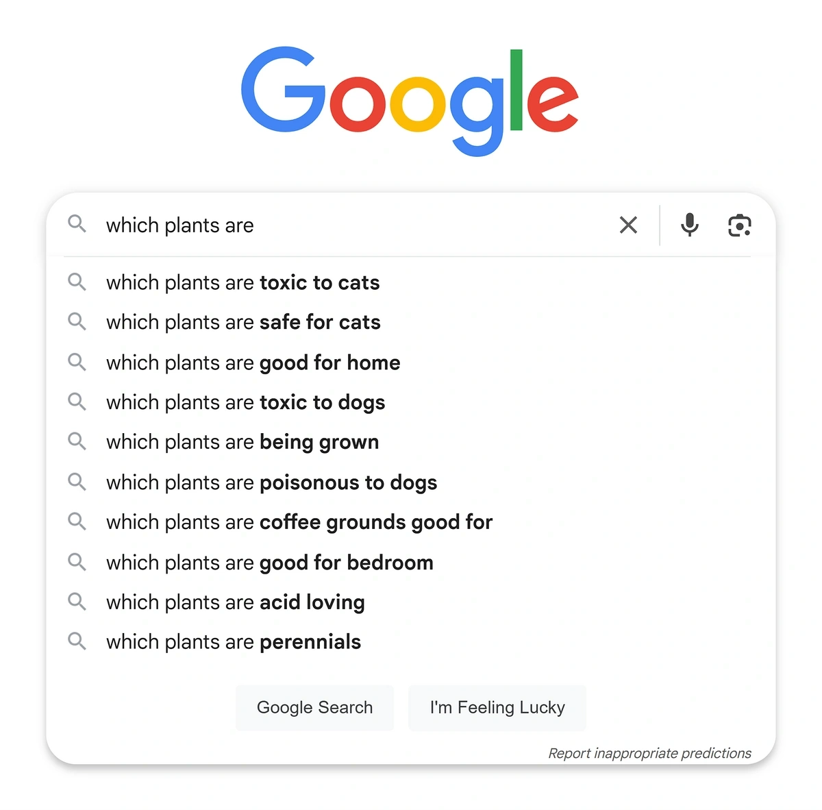 Google autocomplete suggestions for a long tail keyword