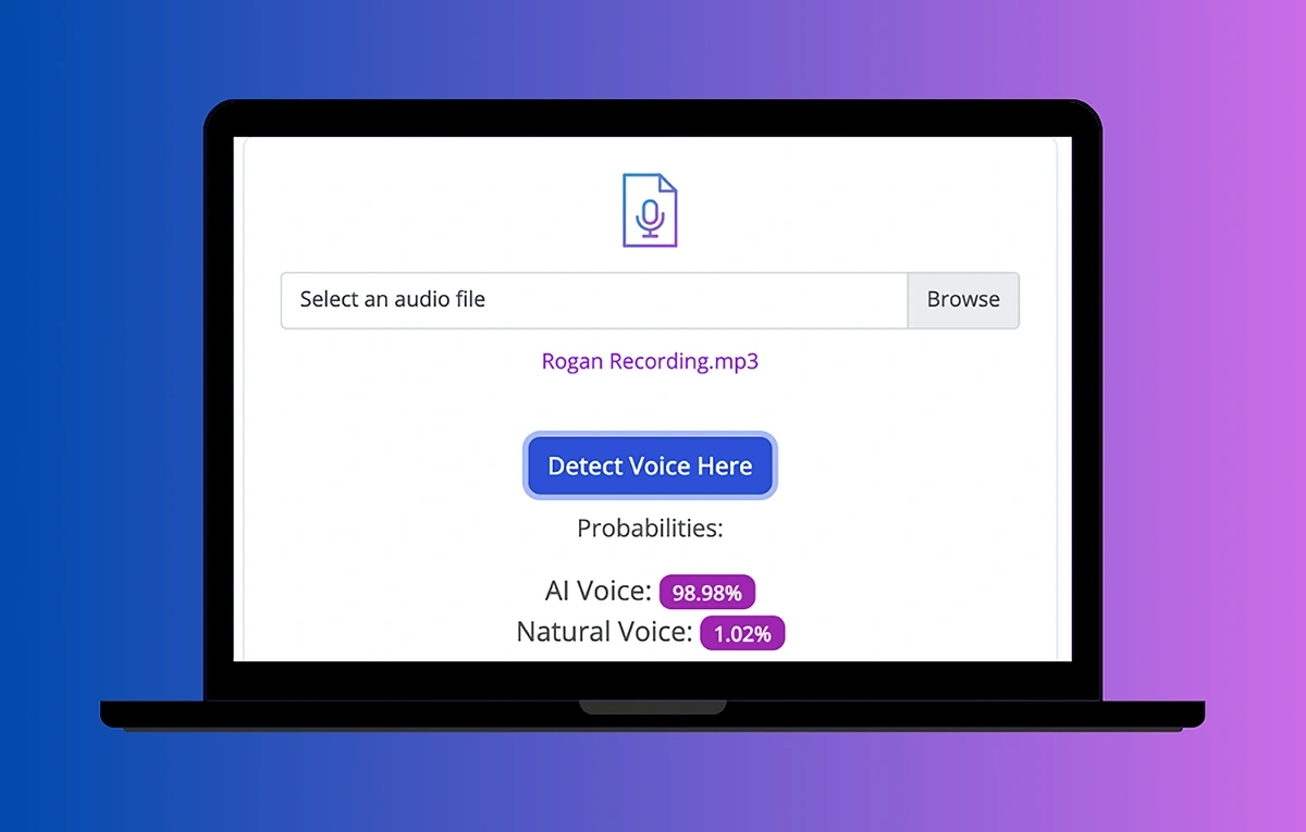 Example image of AI Voice Detector in action