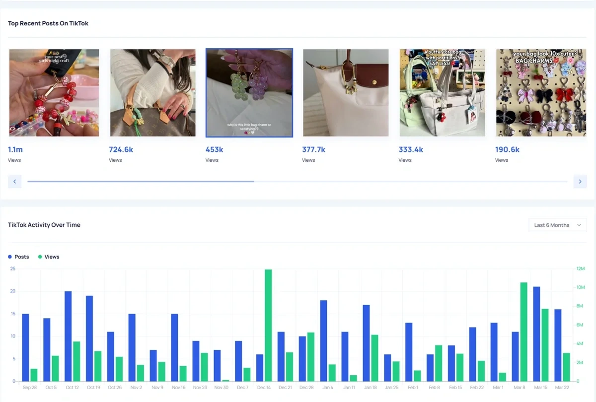Data on bag charms from the TikTok Insights tool