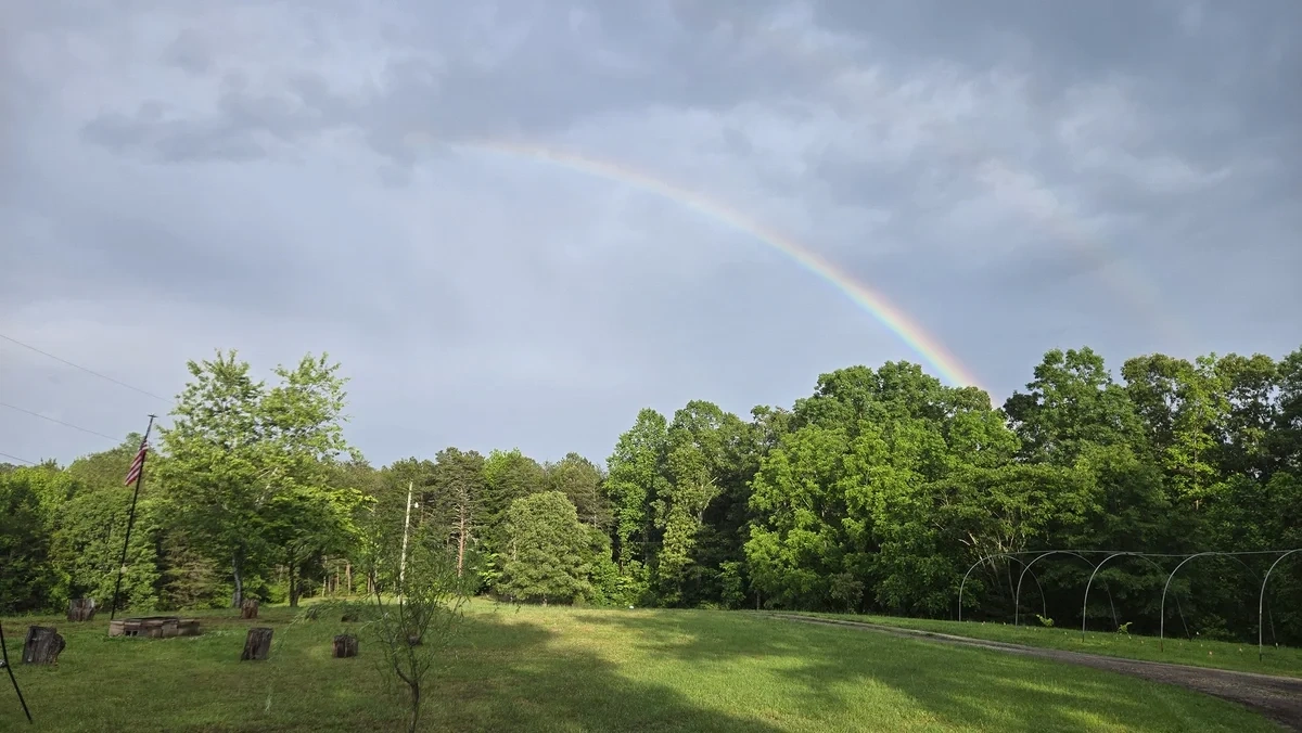 A double rainbow is seen in the sky above green trees and grass.