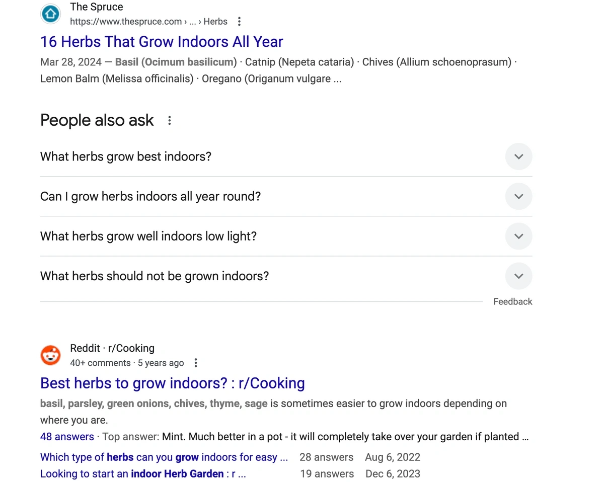 Google SERP for an example query