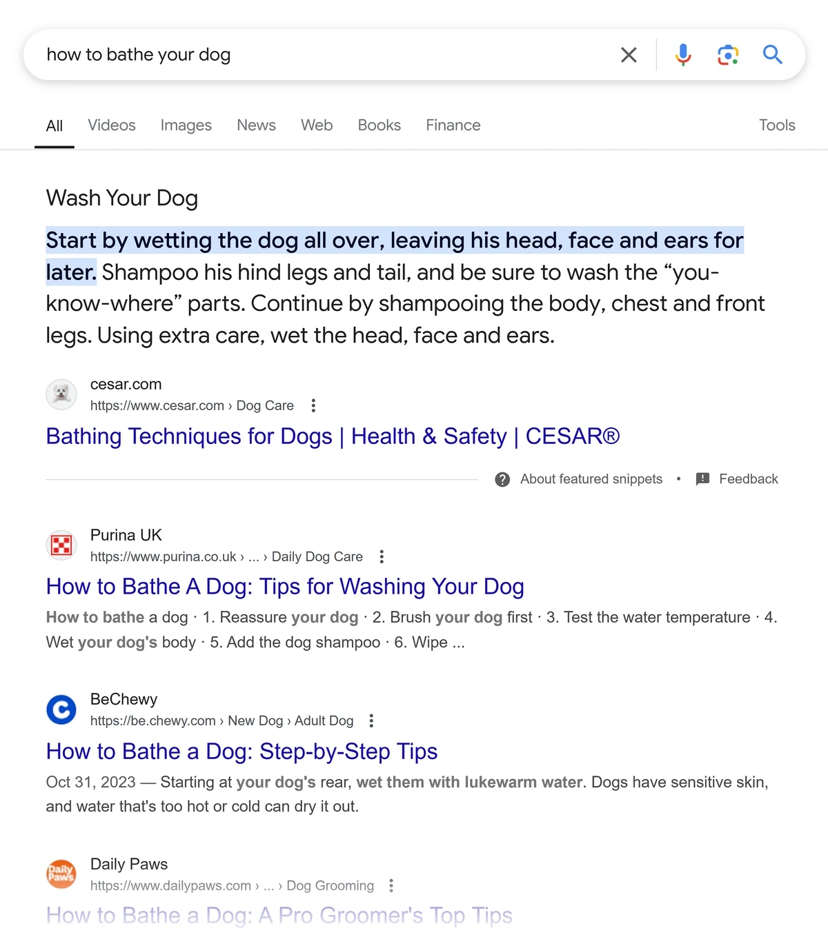 Google search results page