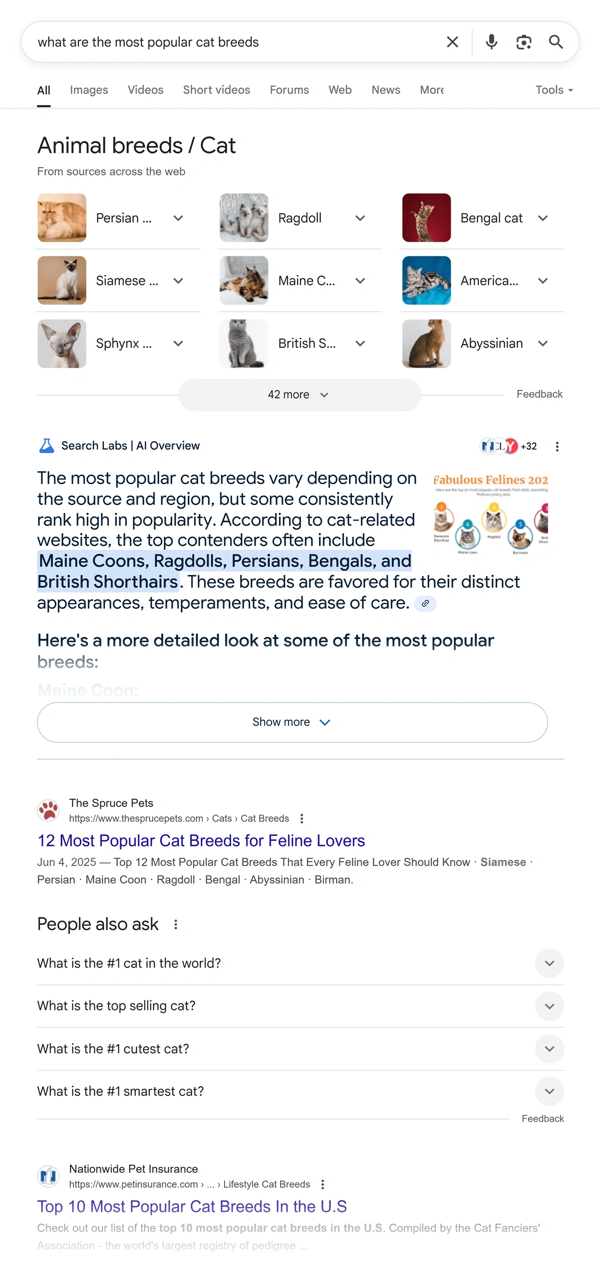A SERP that shows From sources across the web, an AI Overview, and People Also Ask questions.