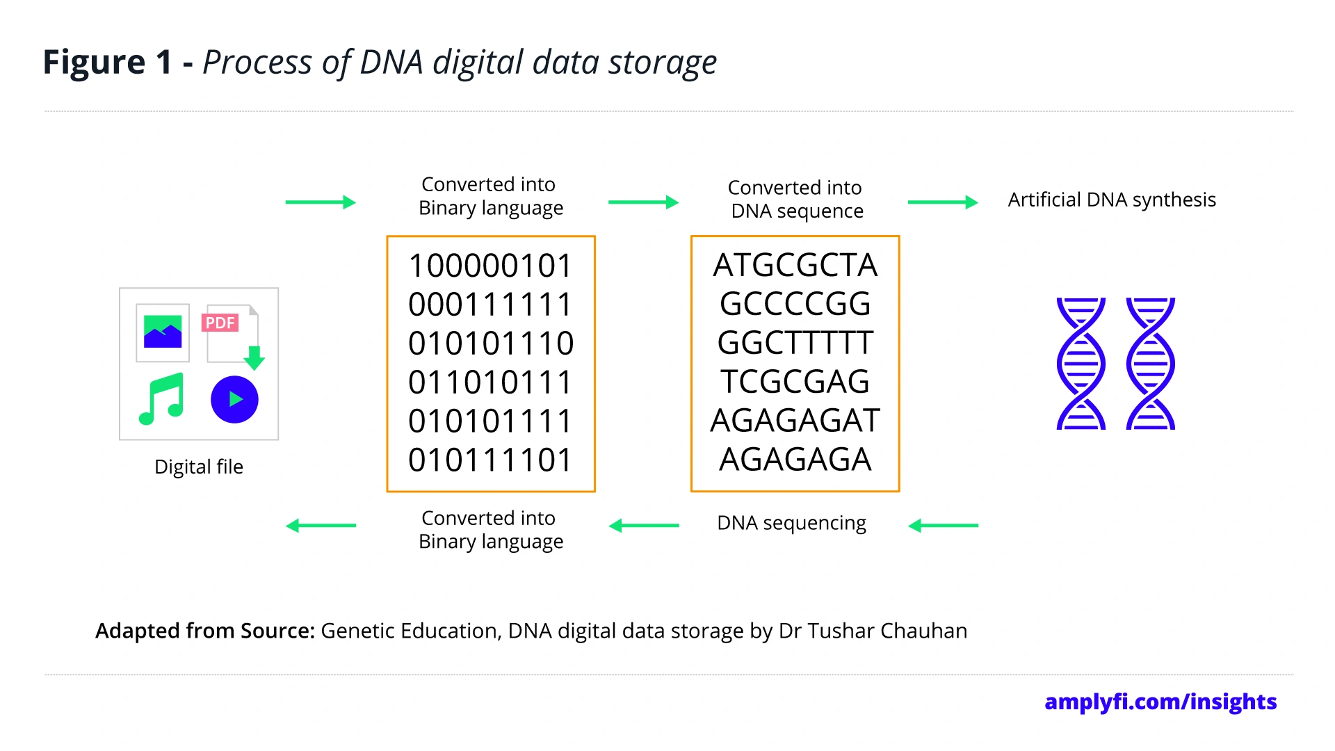 process-of-dna-digital-data-storage-m...