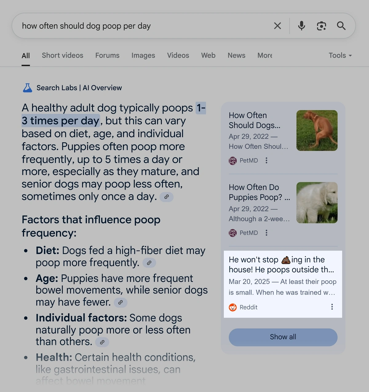 Google AI Overview Reddit Example