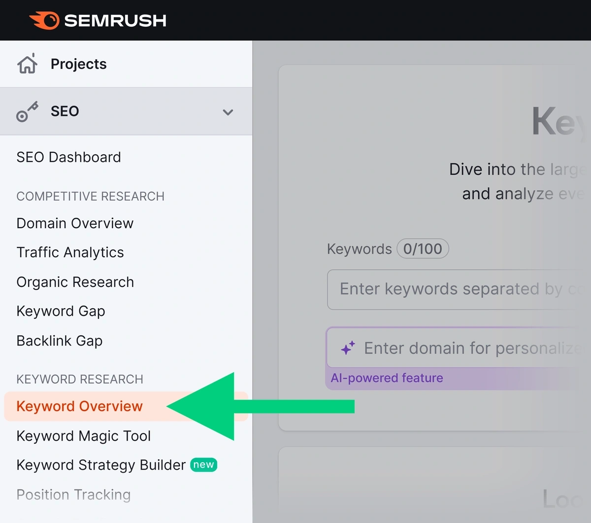 Semrush Keyword Overview