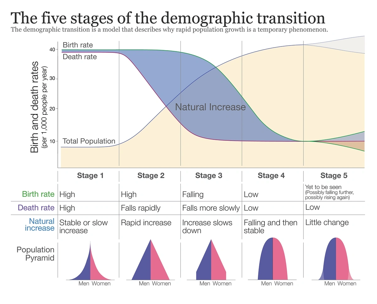 Graph showing the five stages of demographic transition