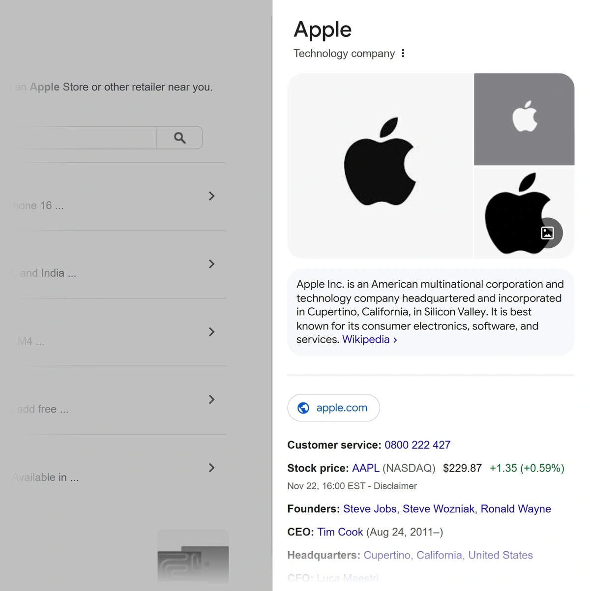 A Knowledge Panel for Apple