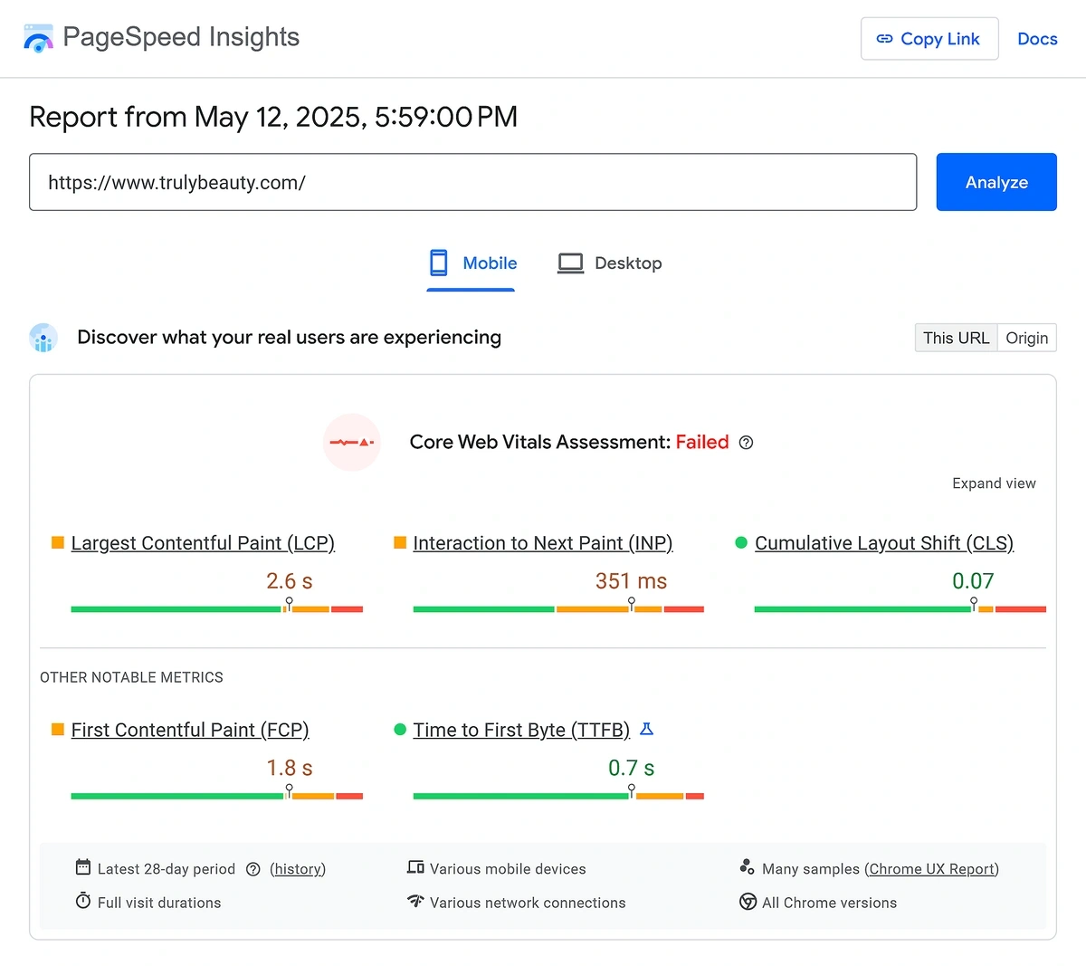 Assessment from Page Speed Insights for an example page