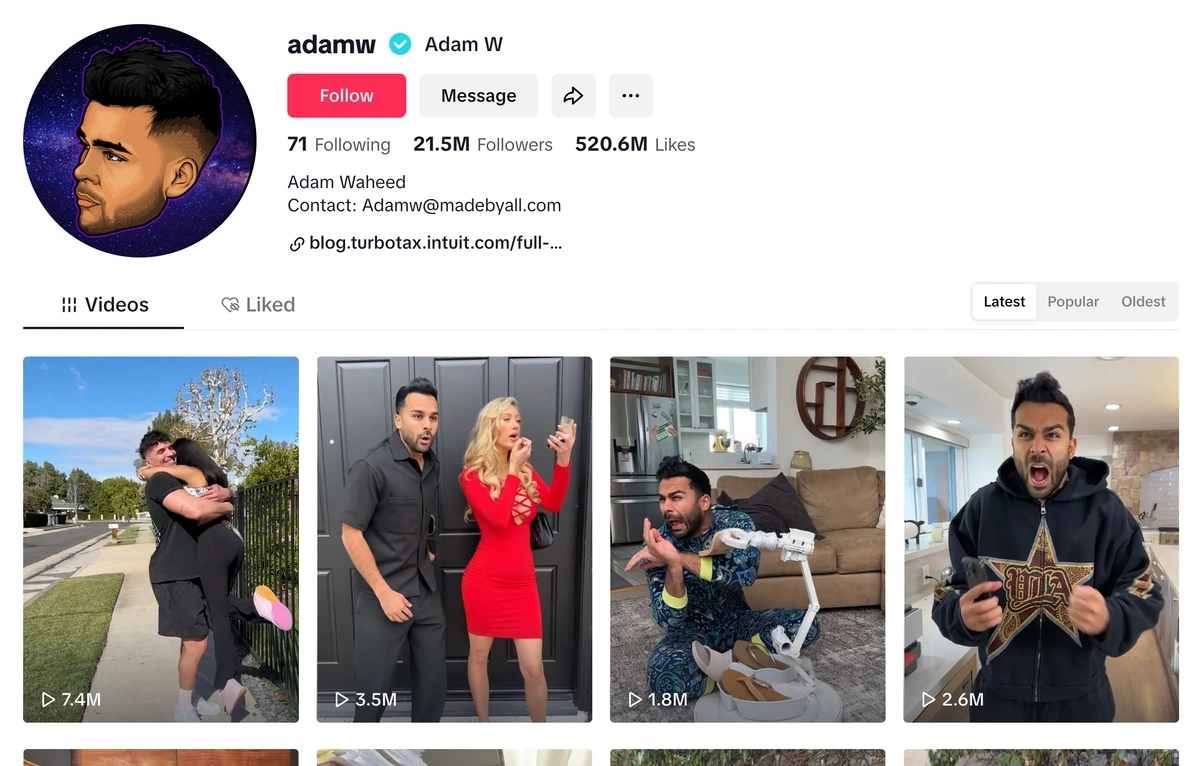 Screenshot of Adam W's TikTok page