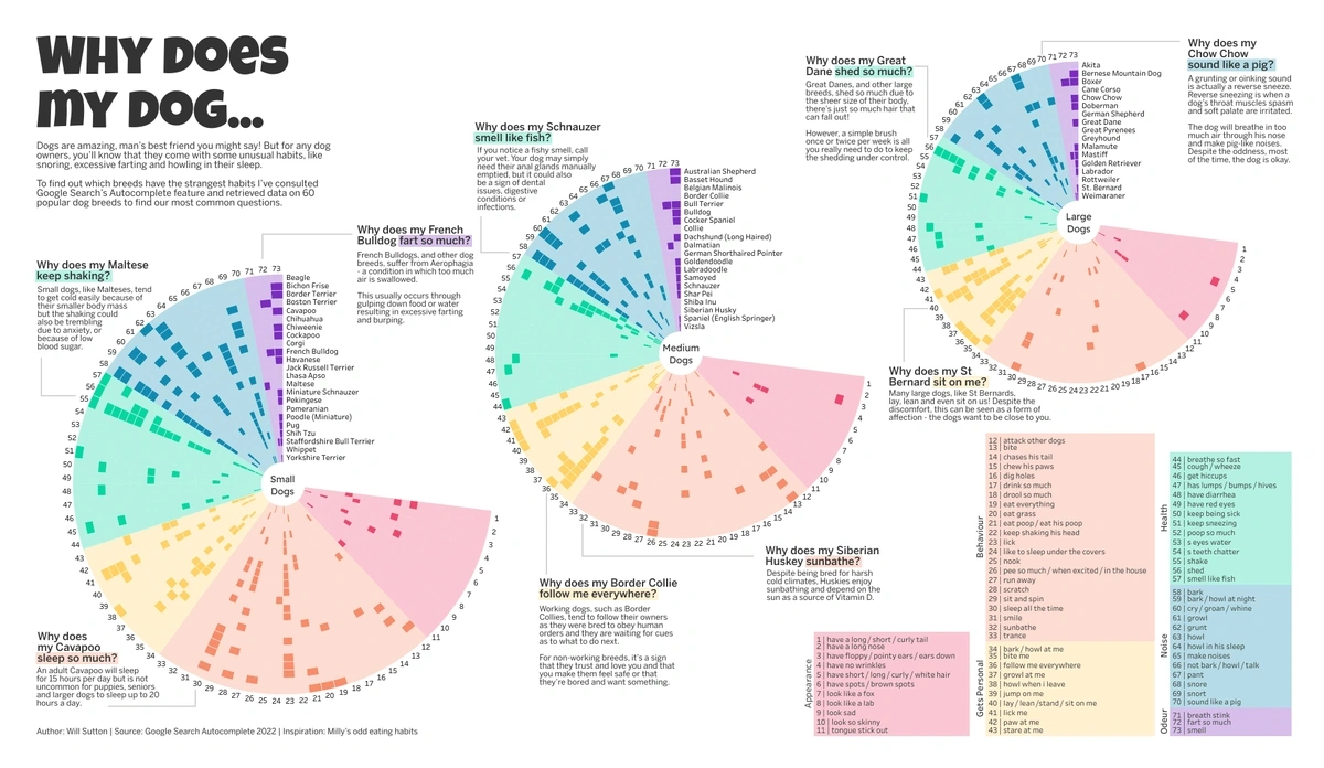 sample-data-visualization-min.webp