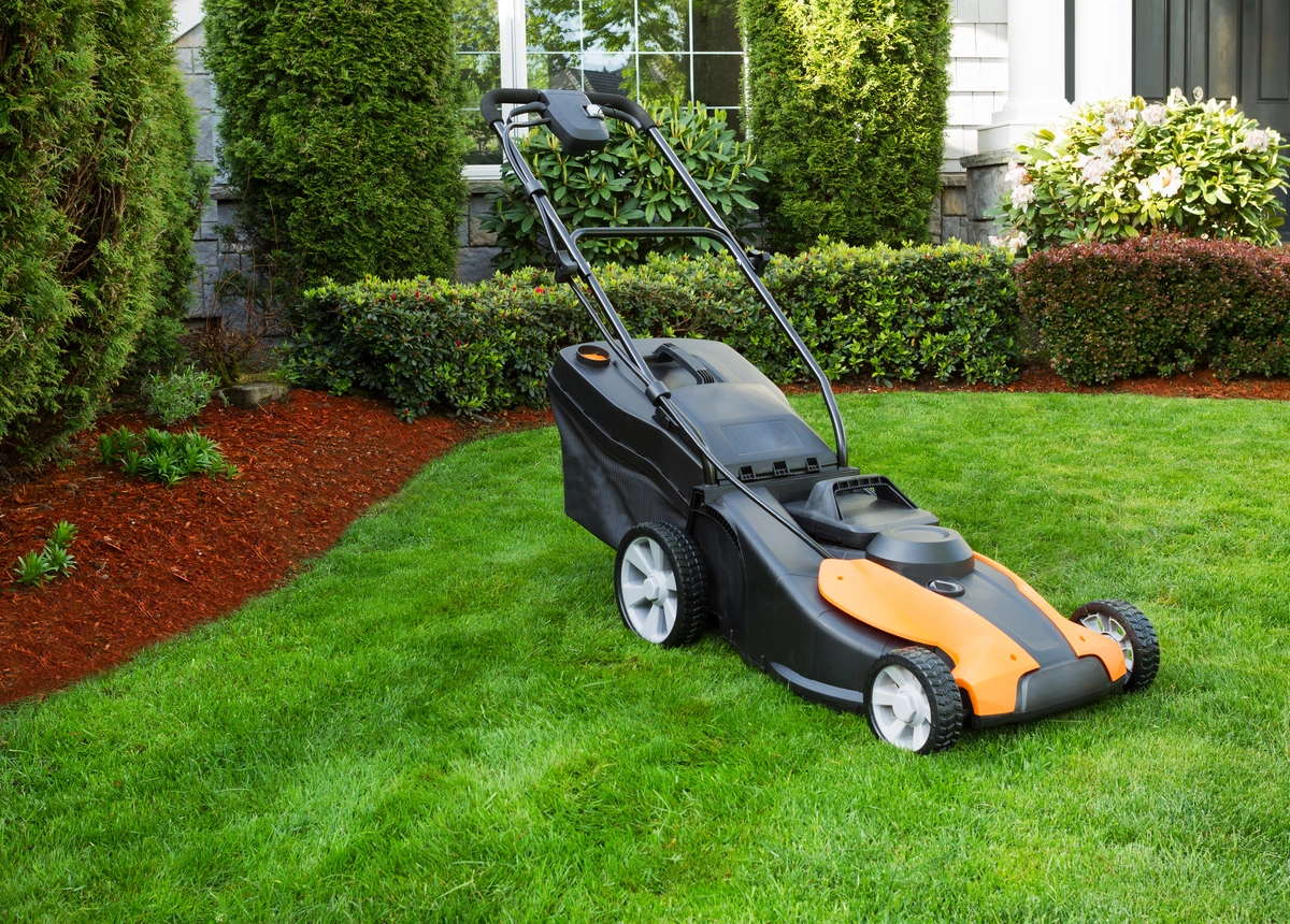 Lawn mower best sale tune up