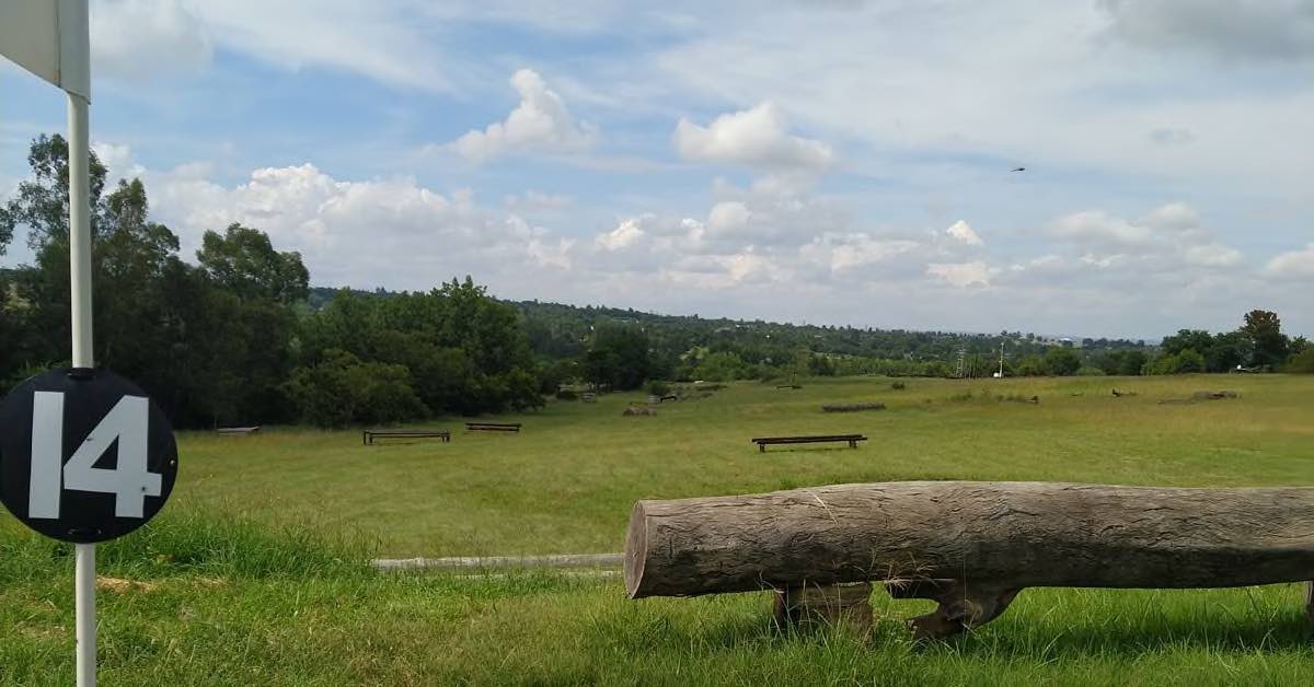 A mown open area of grass with some trees