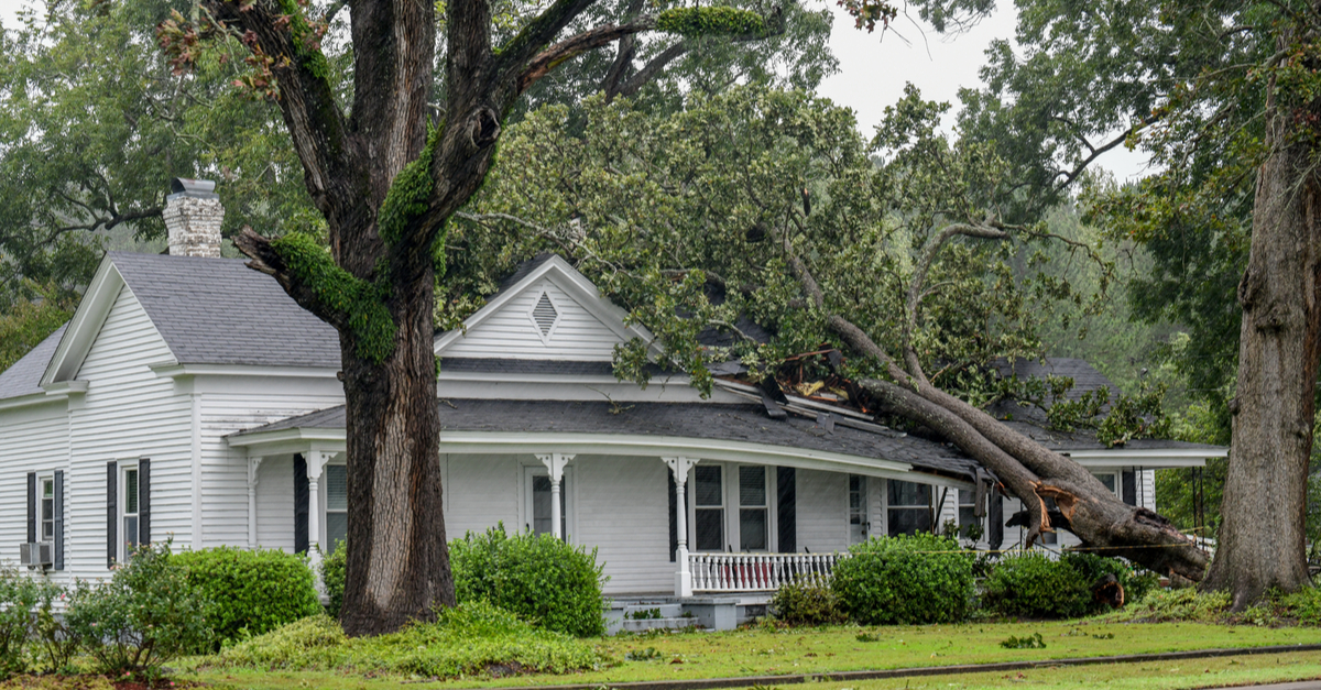 wind and hail insurance coverage