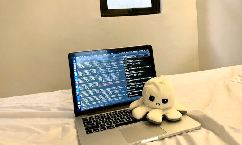 laptop with angry octopus stuff toy