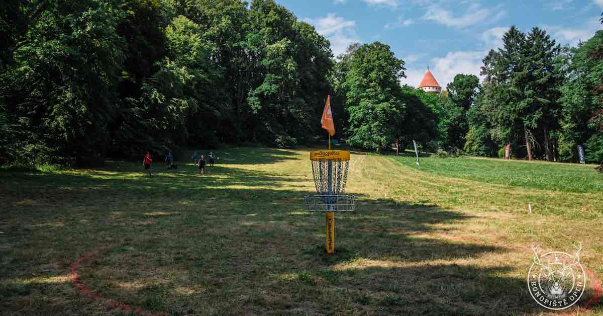 A disc golf basket in a grassy area lined by old trees