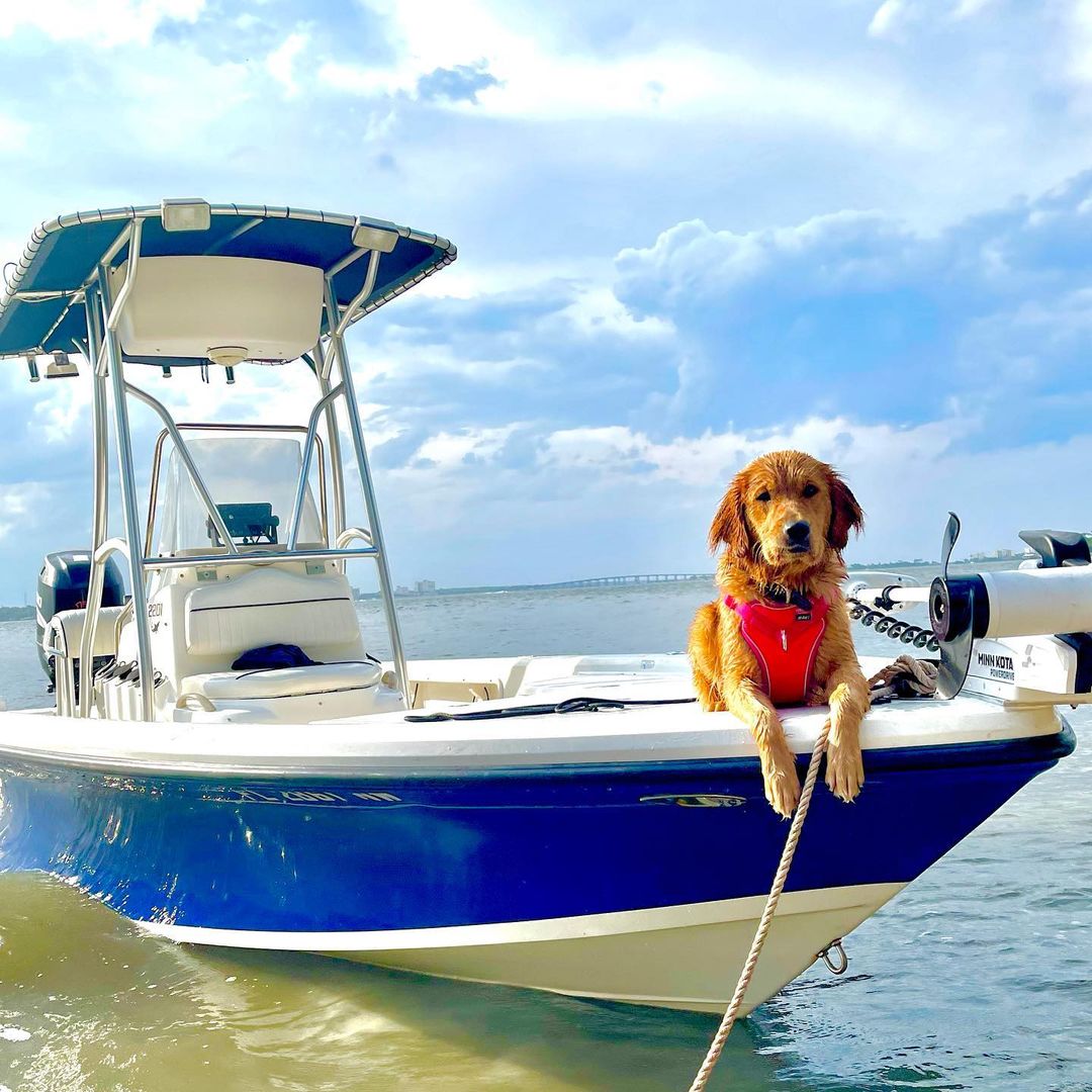 In the Shallow: Boating the Backcountry and Fishing the Flats