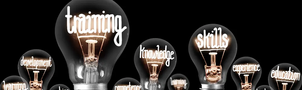 lightbulbs with terms written in the filament