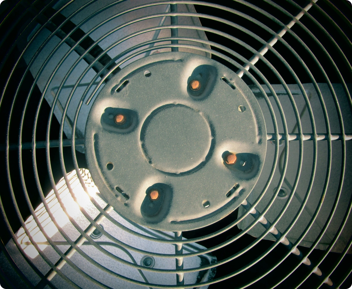 Photo of a fan.