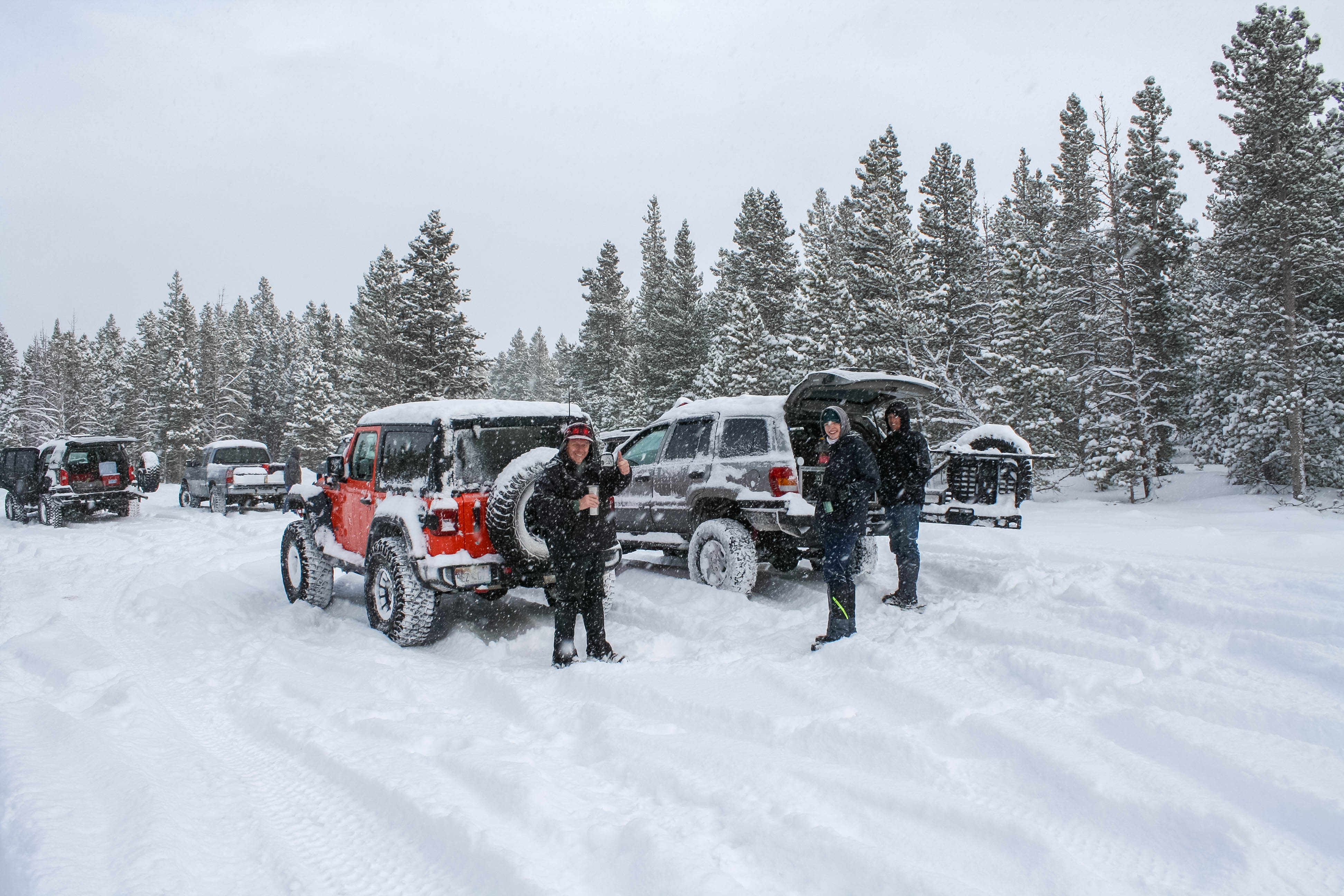 Cutting Down the Christmas Tree with Trails Offroad Blog Image