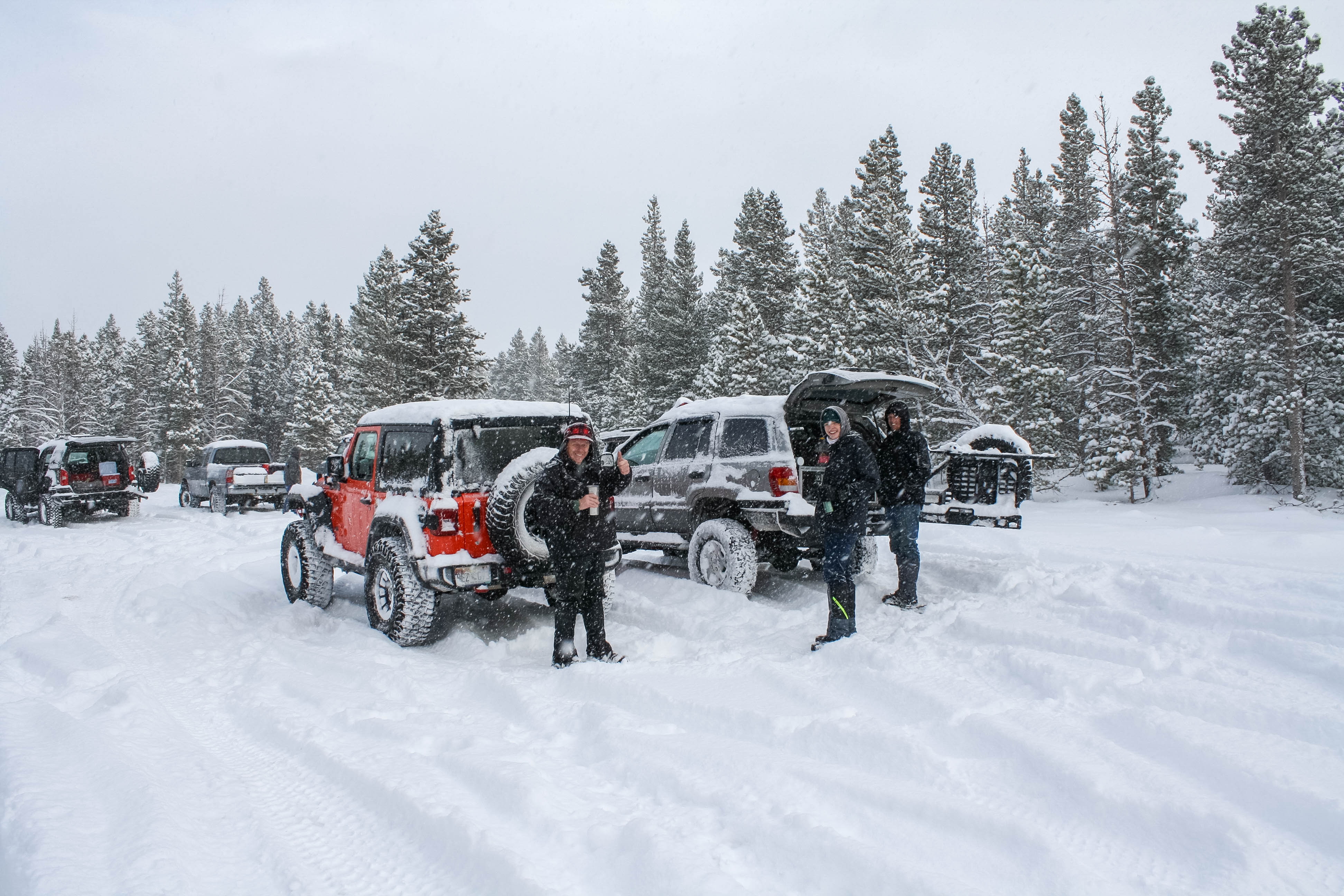 Cutting Down the Christmas Tree with Trails Offroad Blog Photo