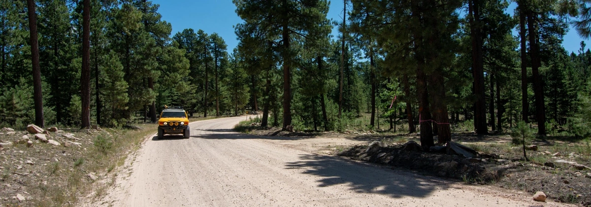 FJ Cruiser exploring Rim Road in Payson, AZ