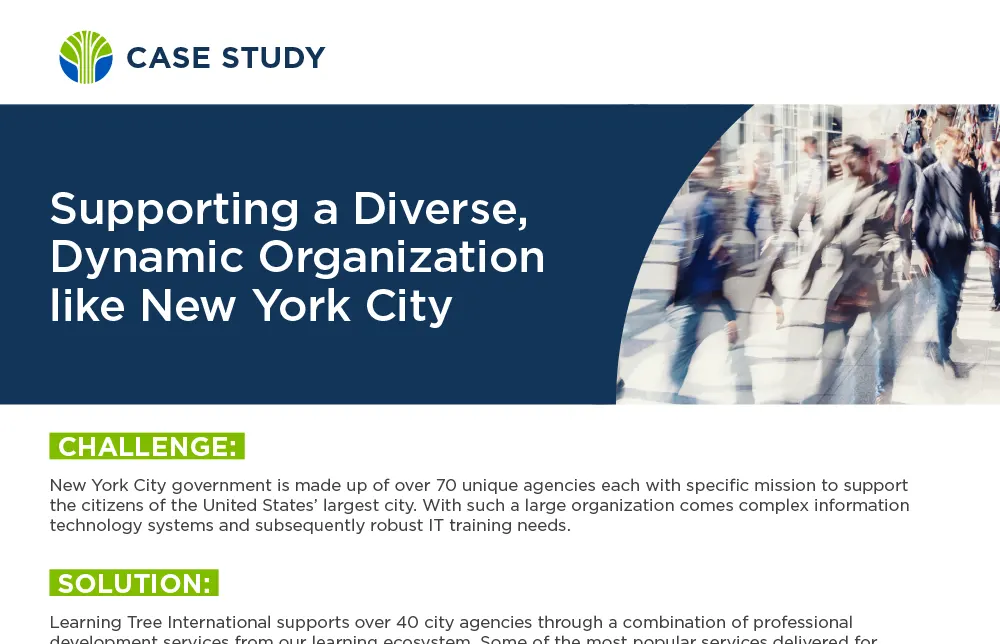 Case Study: Support City Agencies with Professional Development
