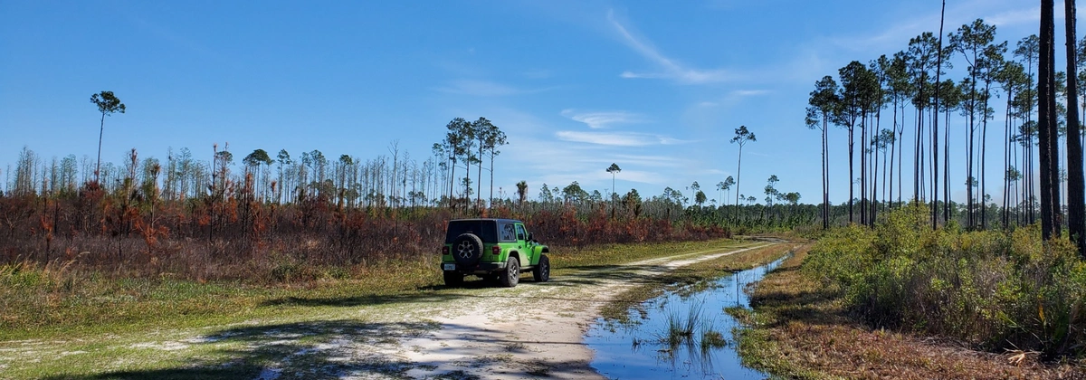 Osceola - FR272.webp
