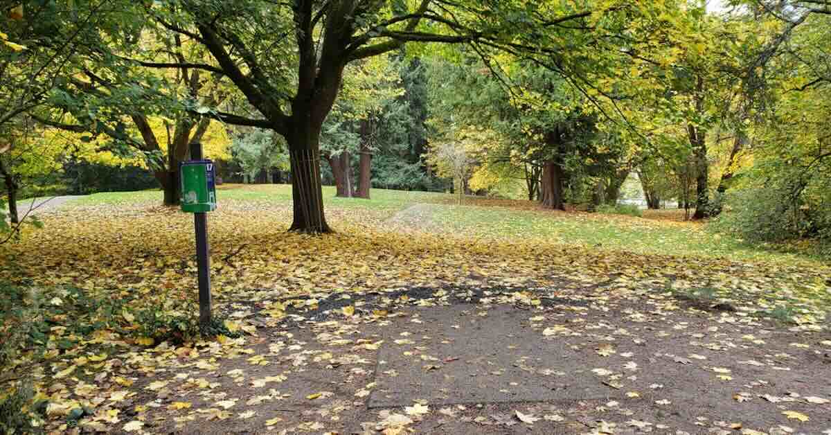 Aconcrete disc golf tee pad in a park area with mowed grass and scattered trees in fall yellow