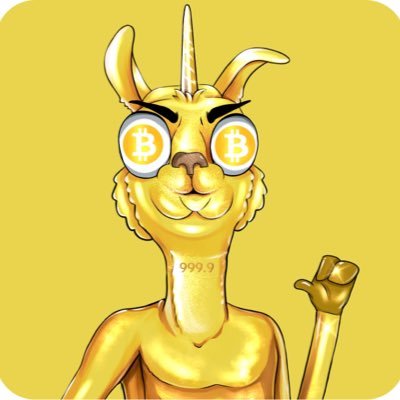 Bullish Llamas
