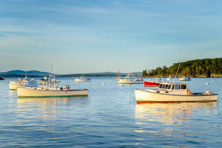 Sailboats in the harbor