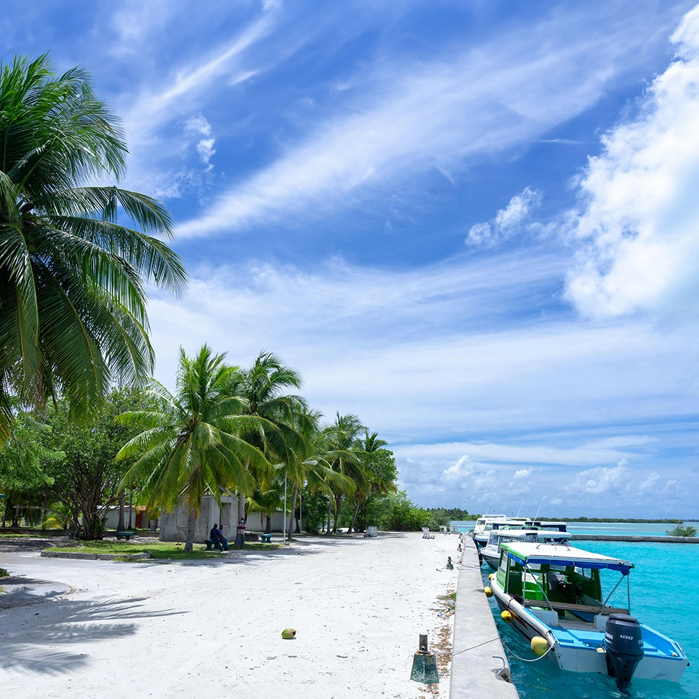 Dock in Belize.webp