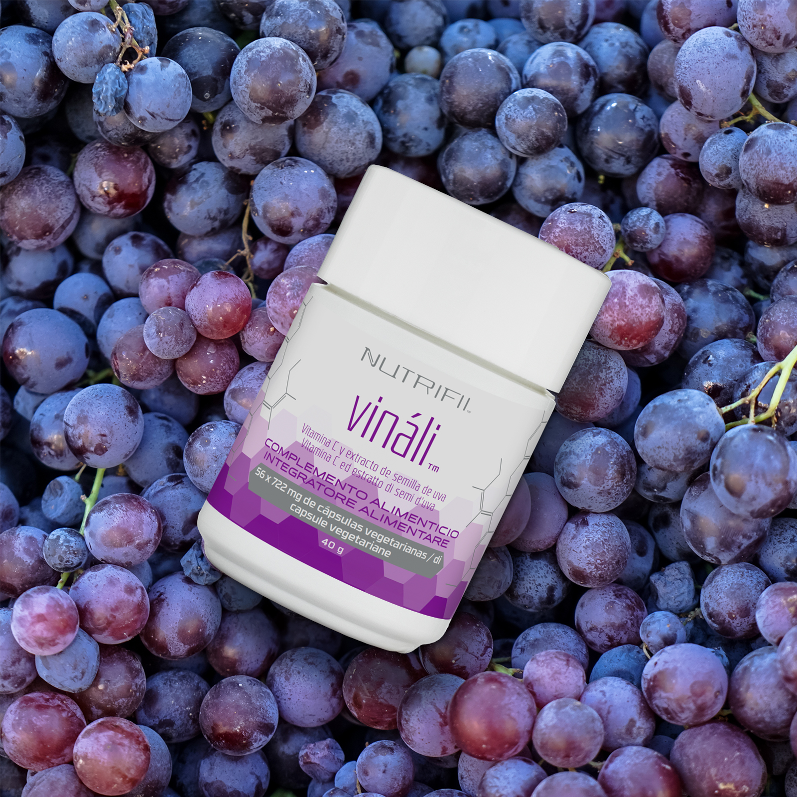 Partner.Co™ | Vinali™