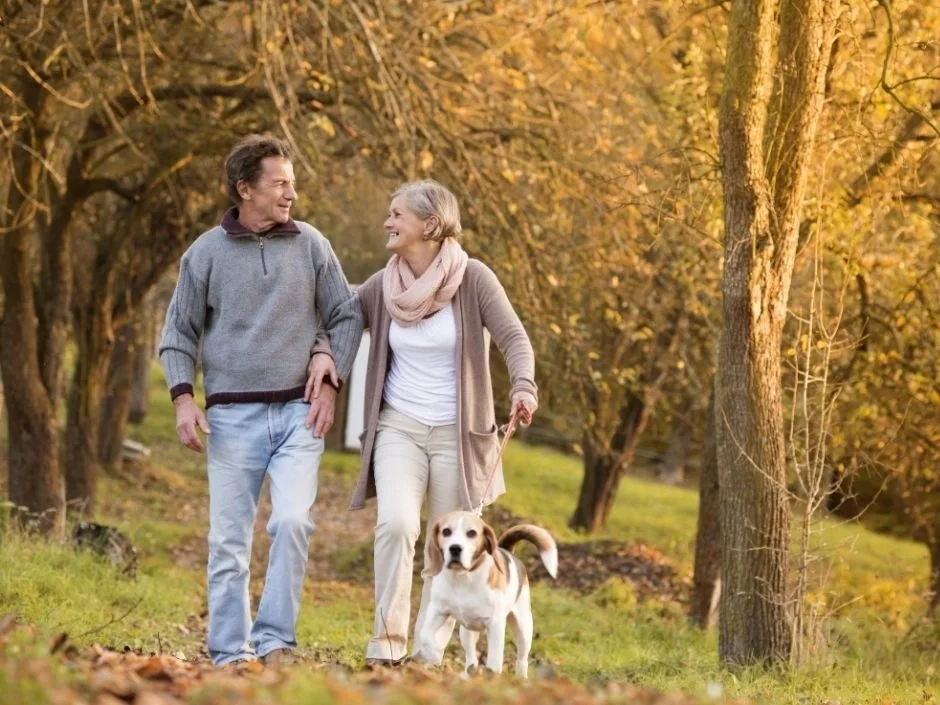 Older couple smiling and walking a Beagle together on a tree-lined autumn path