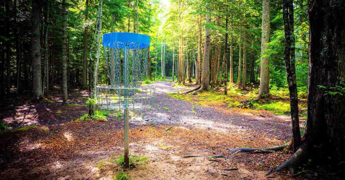 A disc golf basket with a blue band in a forest