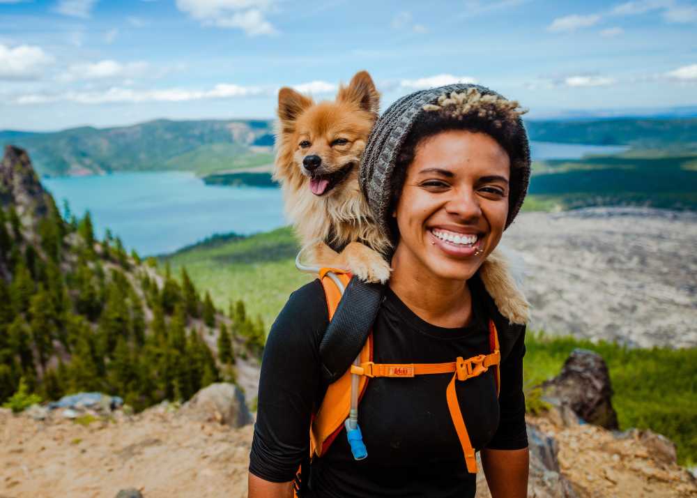 Hiking with a puppy best sale