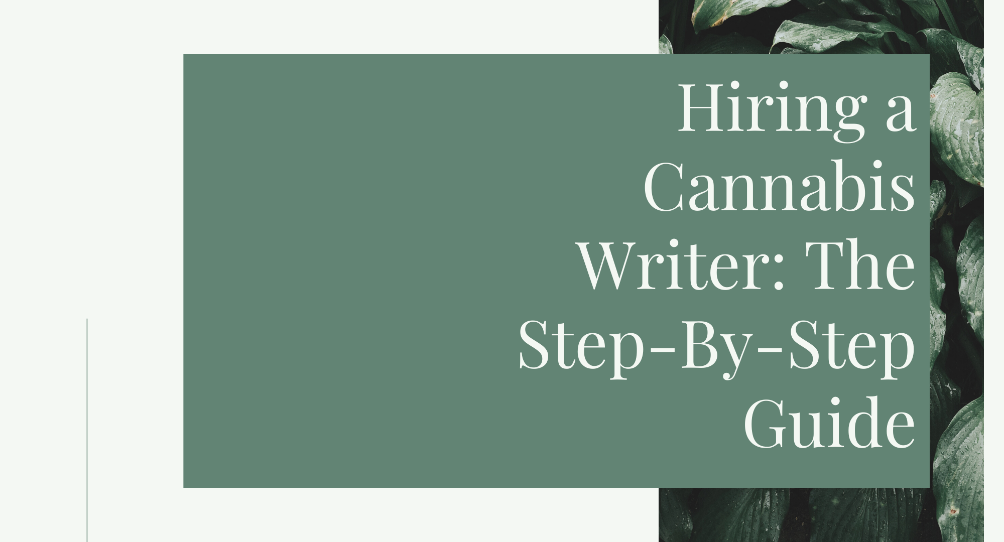 Hiring a Cannabis Writer: The Step-By-Step Guide