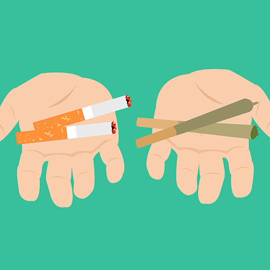 How to Switch from Tobacco to Marijuana Healthily | MAMA'S GANJA