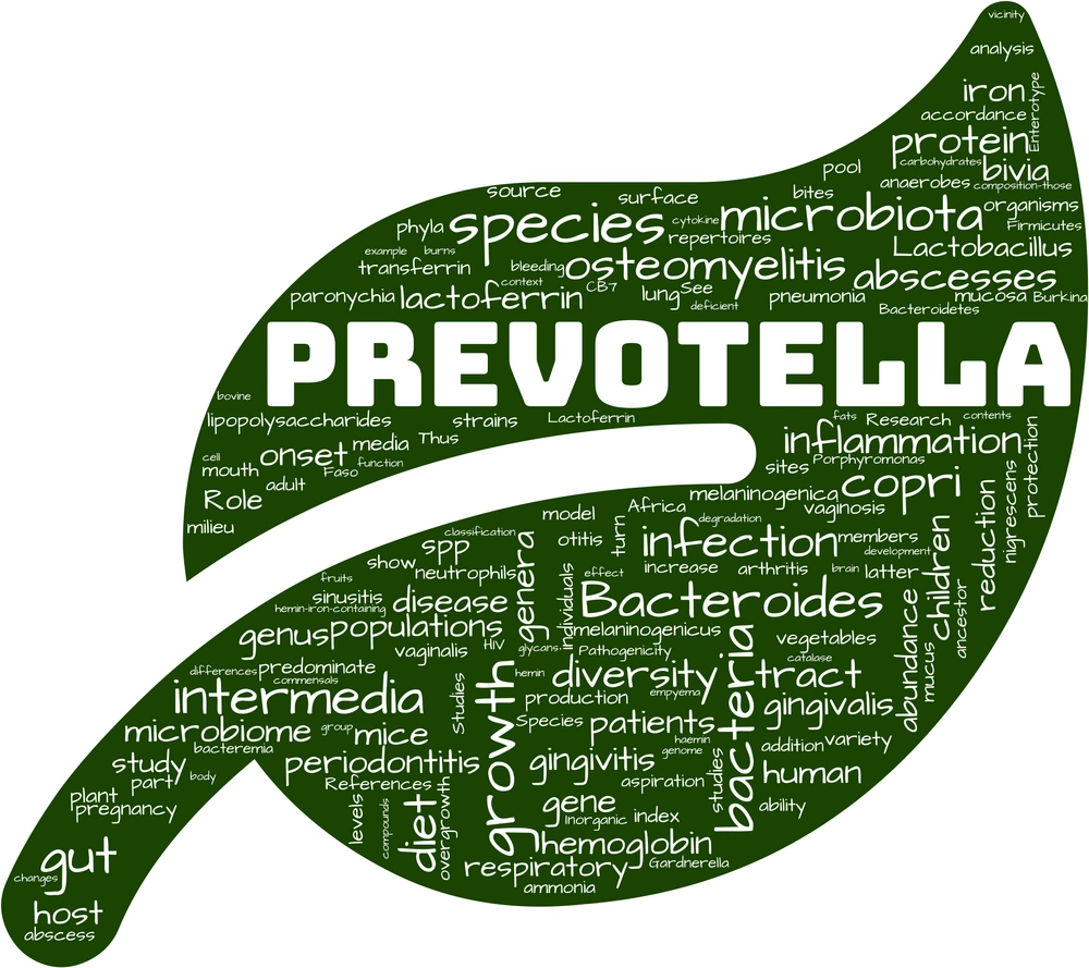 Prevotella