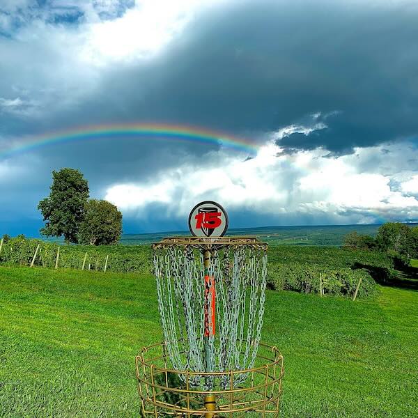 A disc golf basket with a vineyard and rainbow in the background