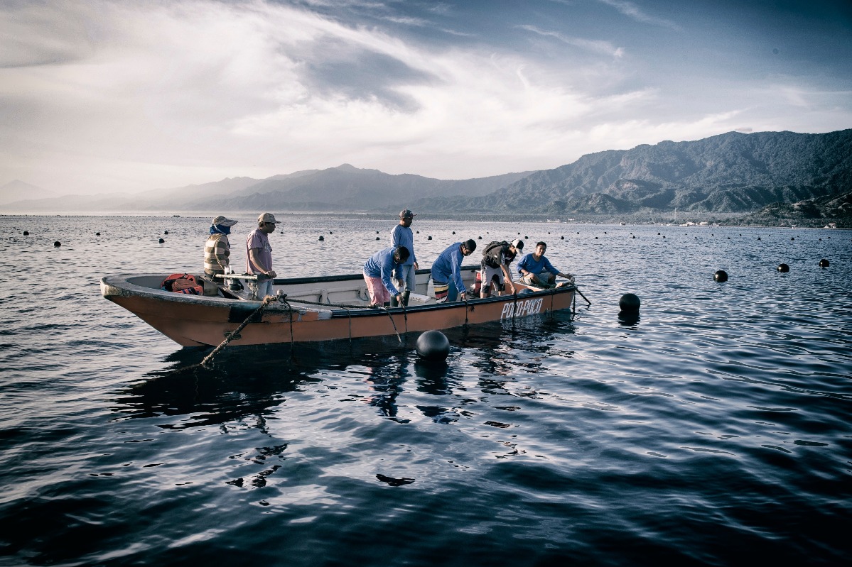 Atlas pearl farm boats in Indonesia