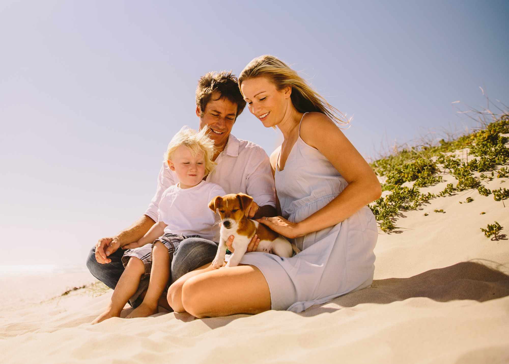 19 Ways to Celebrate National Puppy Day in Style - Pawrade.com