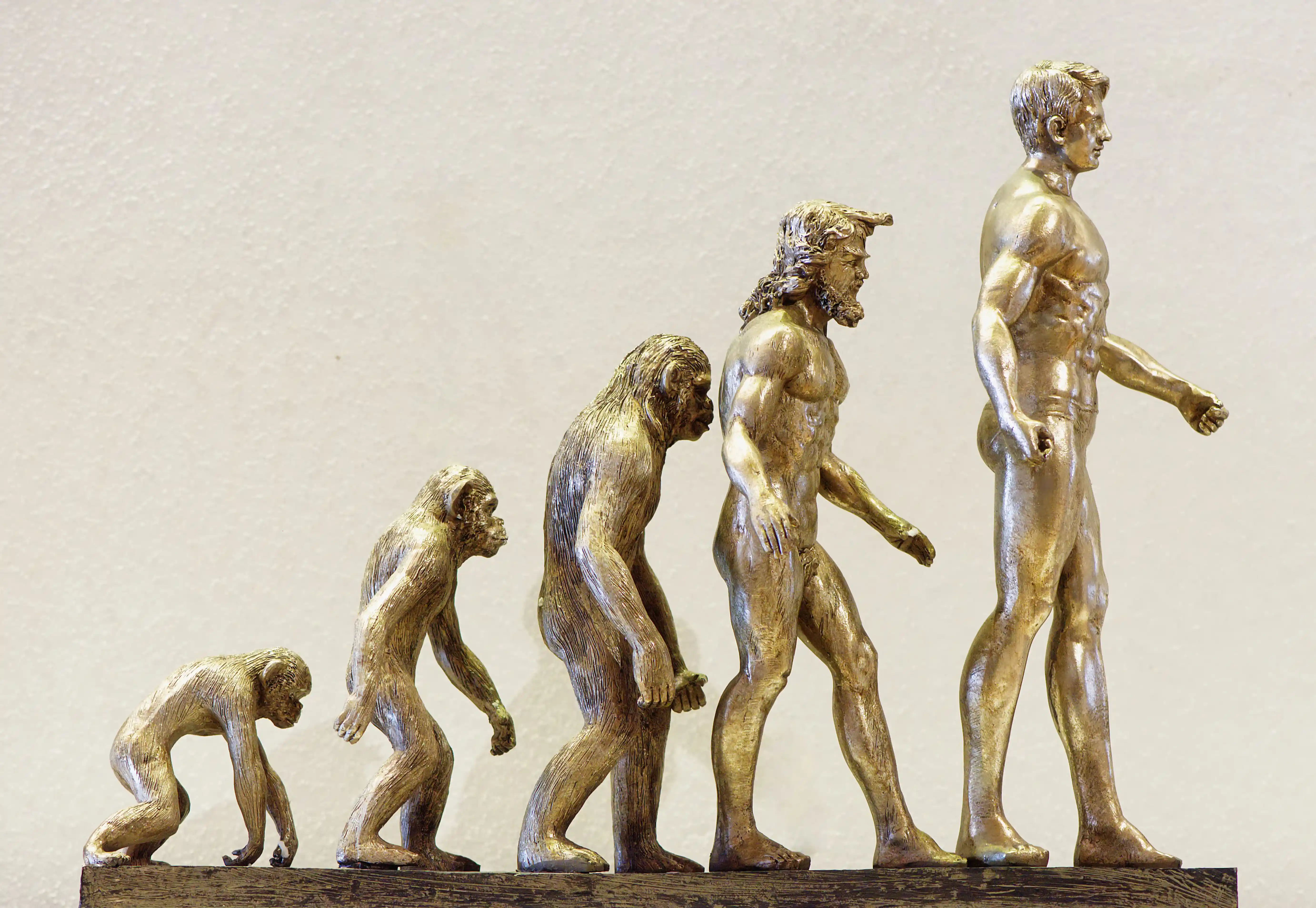 Human evolution sculpture representing transformation of workforce and talent models