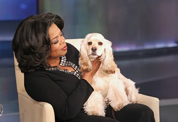 oprah.cockerspaniel.webp