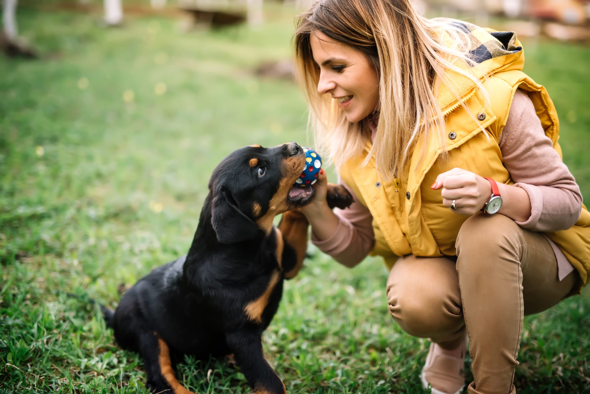 what counts as exercise for a puppy