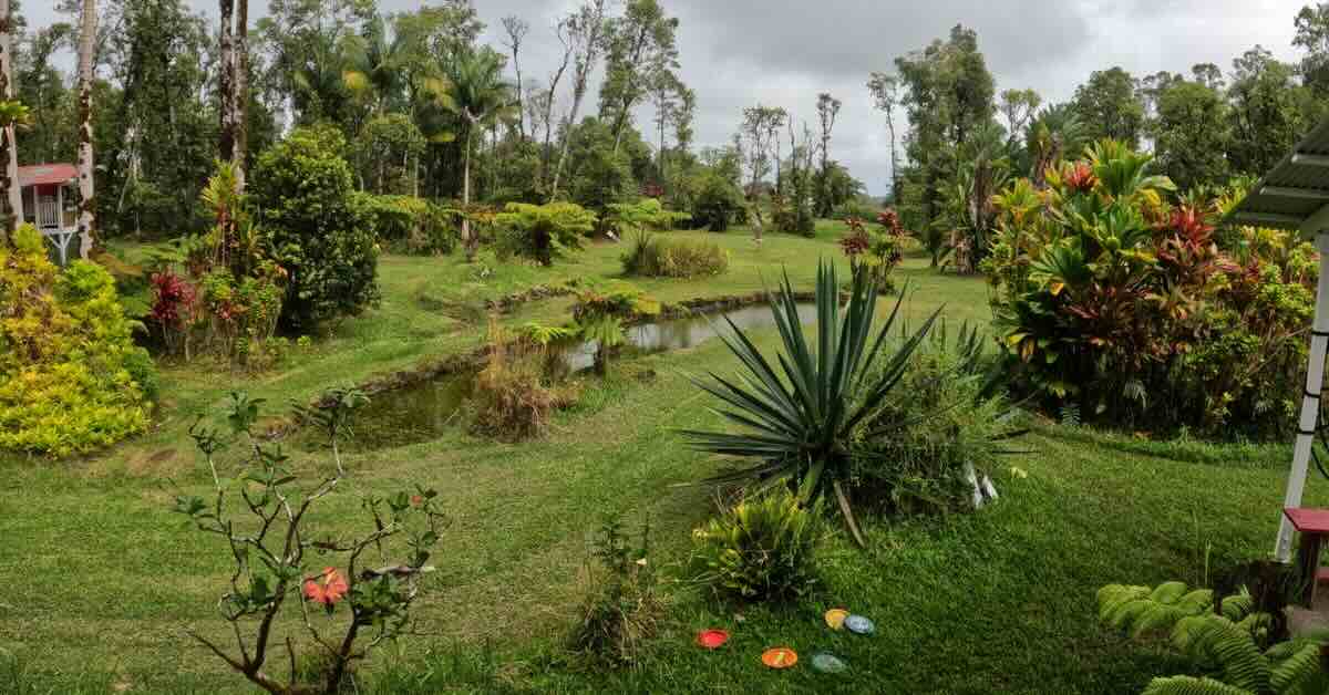 An area with lush vegetation and mown grass