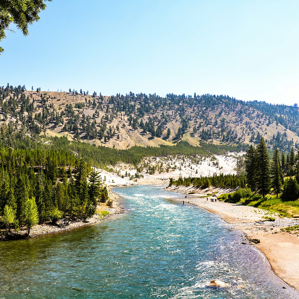 Yellowstone River.webp