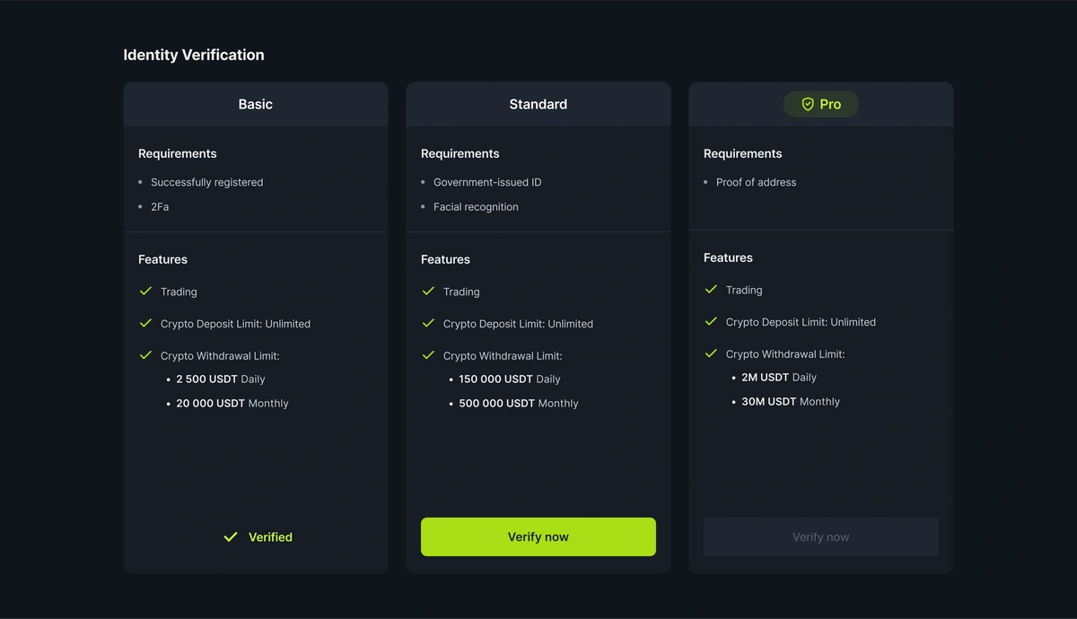 Understanding visual data 3