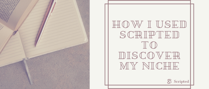 How I Used Scripted to Discover My Niche