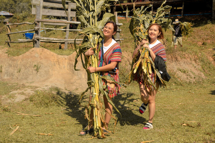 Volunteer in an elephant sanctuary with bestie